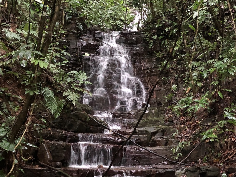 0 bed Land For Sale in Dominical, Puntarenas - 1