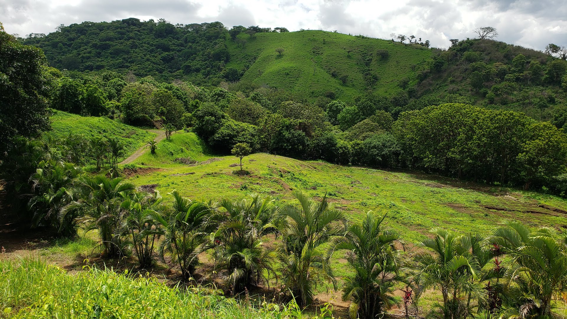 0 bed Land For Sale in Atenas, Alajuela - thumb 9