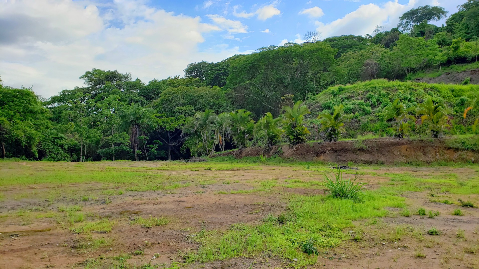 0 bed Land For Sale in Atenas, Alajuela - thumb 11