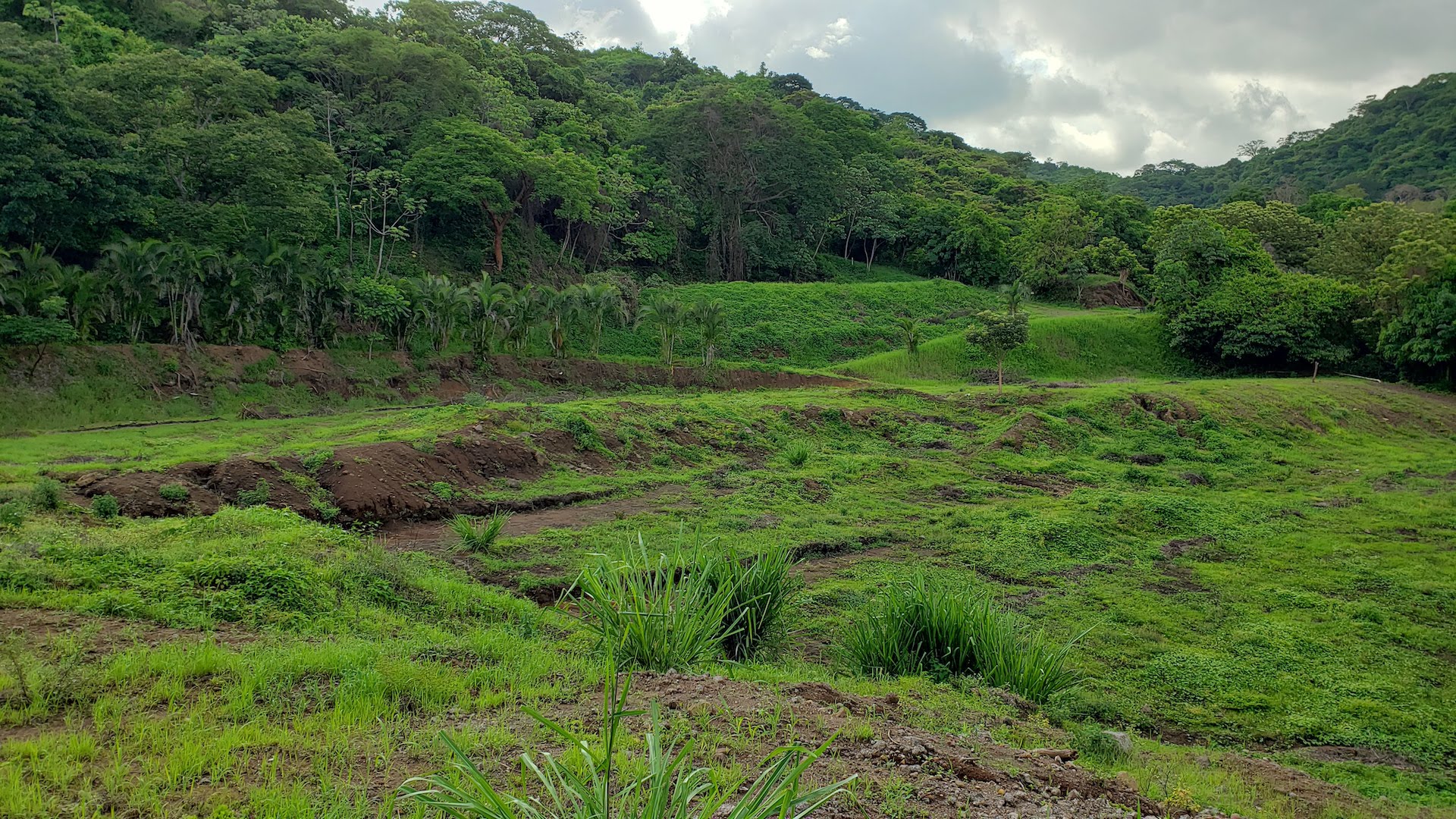 0 bed Land For Sale in Atenas, Alajuela - thumb 12