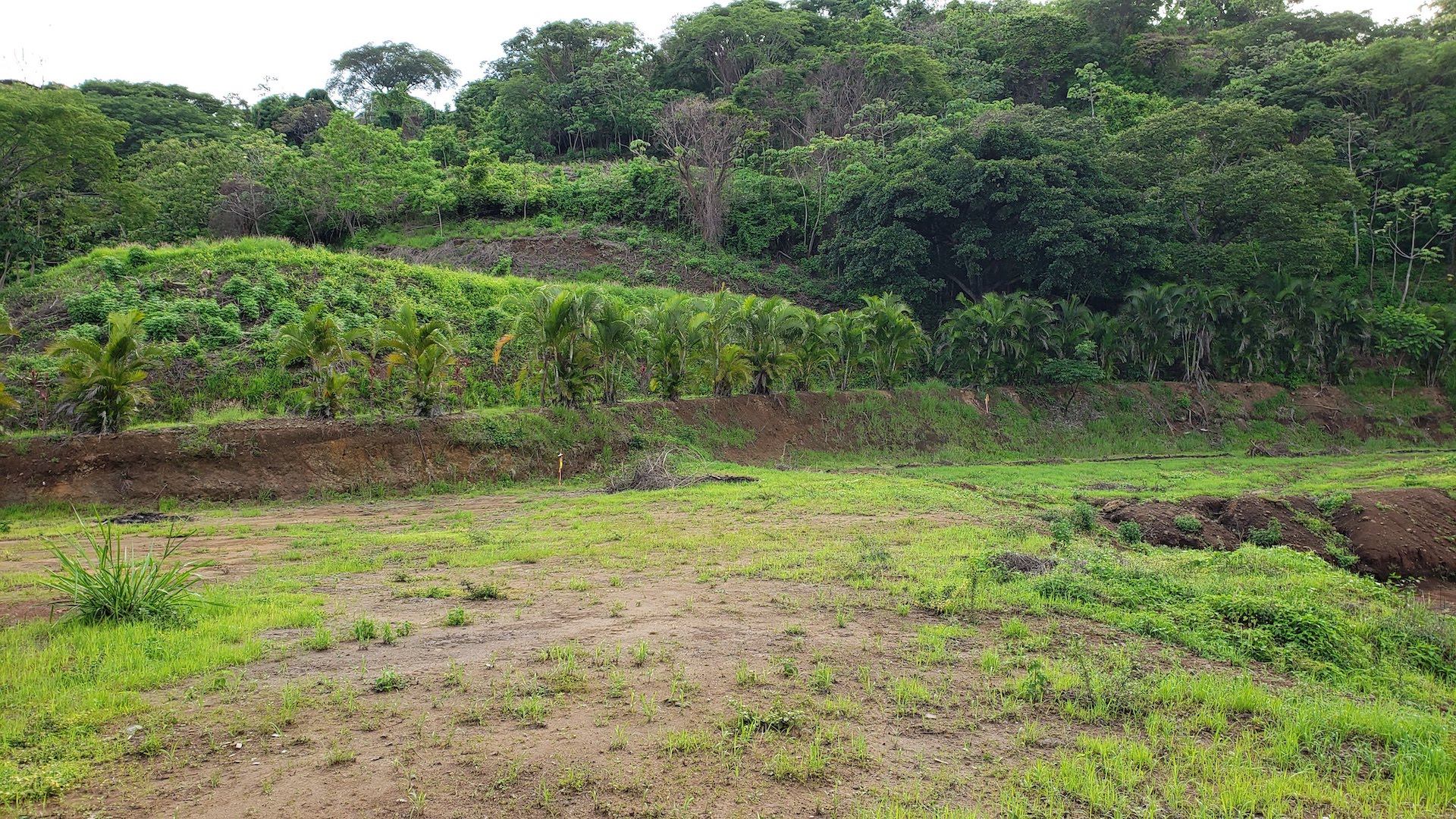 0 bed Land For Sale in Atenas, Alajuela - thumb 10