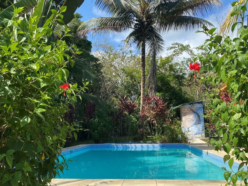 4 bed Hotel / Leisure For Sale in Ojochal, Puntarenas - 1