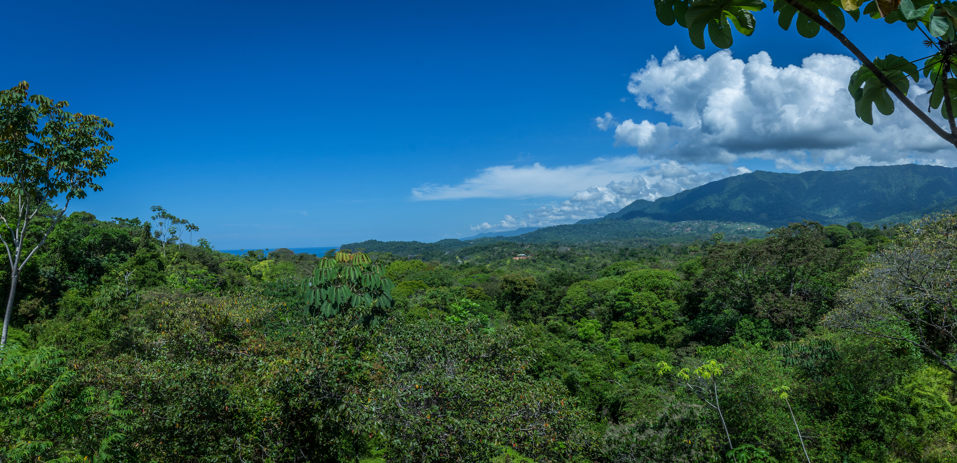 2 bed Single Family Homes For Sale in Ojochal, Puntarenas - thumb 2