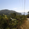  - 19 Hectare Ocean View Farm in Punta Islita