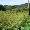  - 19 Hectare Ocean View Farm in Punta Islita