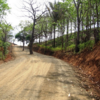  - 19 Hectare Ocean View Farm in Punta Islita