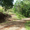  - 19 Hectare Ocean View Farm in Punta Islita