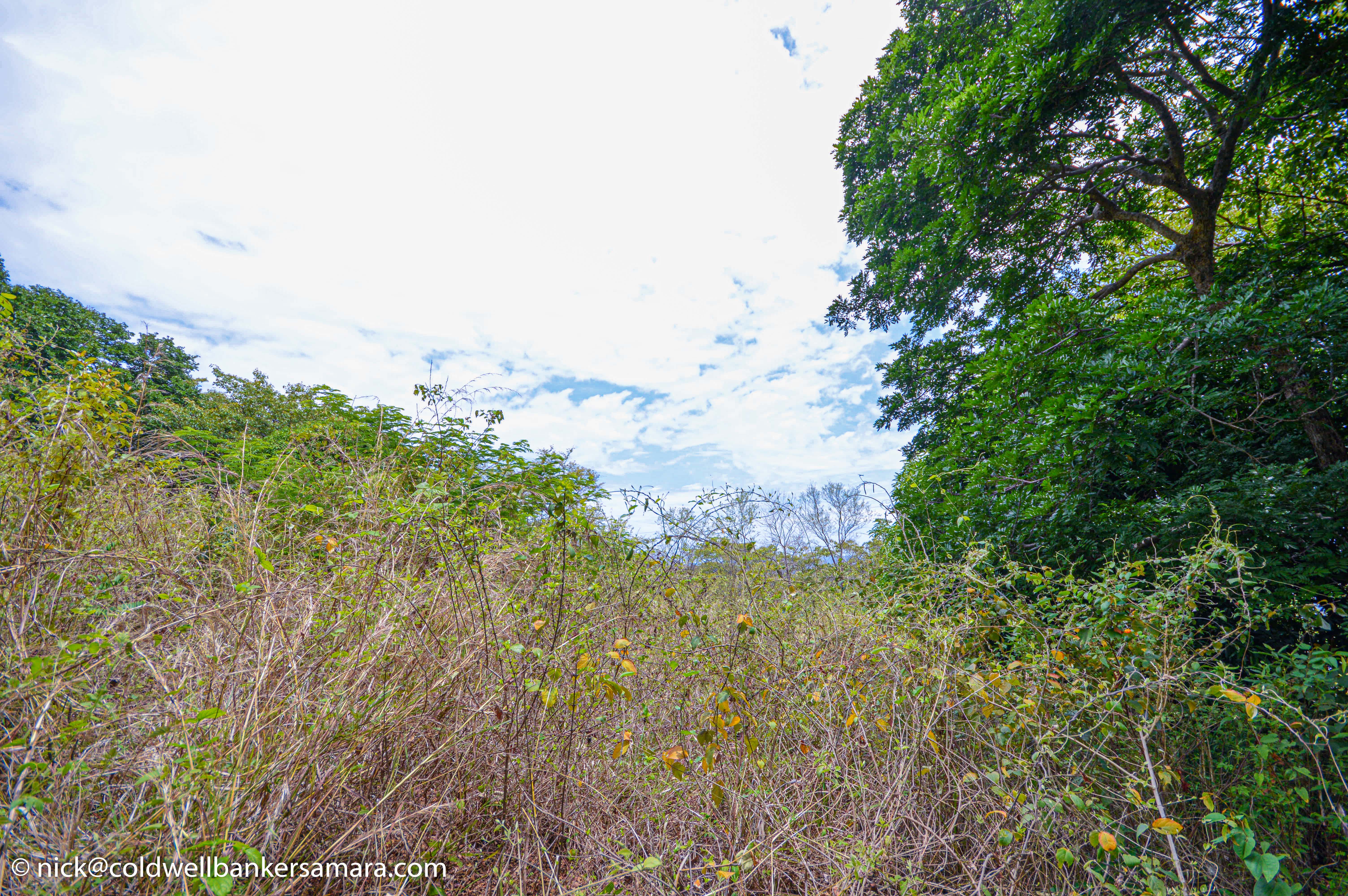 0 bed Land For Sale in Playa Carrillo, Guanacaste - thumb 11
