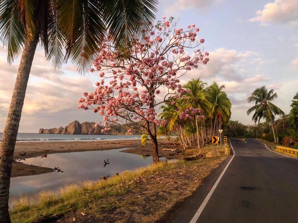 0 bed Land For Sale in Playa Carrillo, Guanacaste - thumb 26