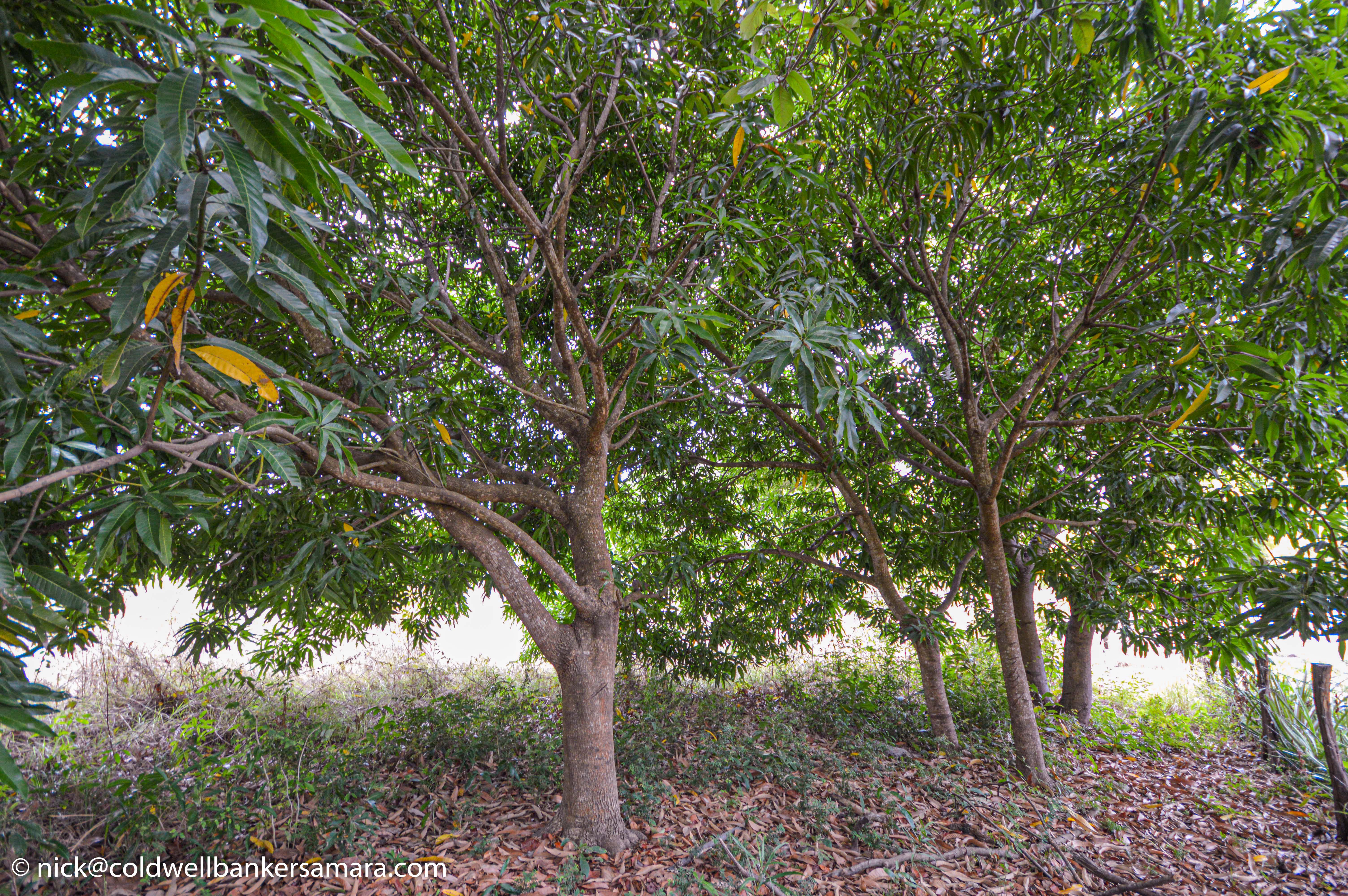 0 bed Land For Sale in Playa Carrillo, Guanacaste - thumb 10