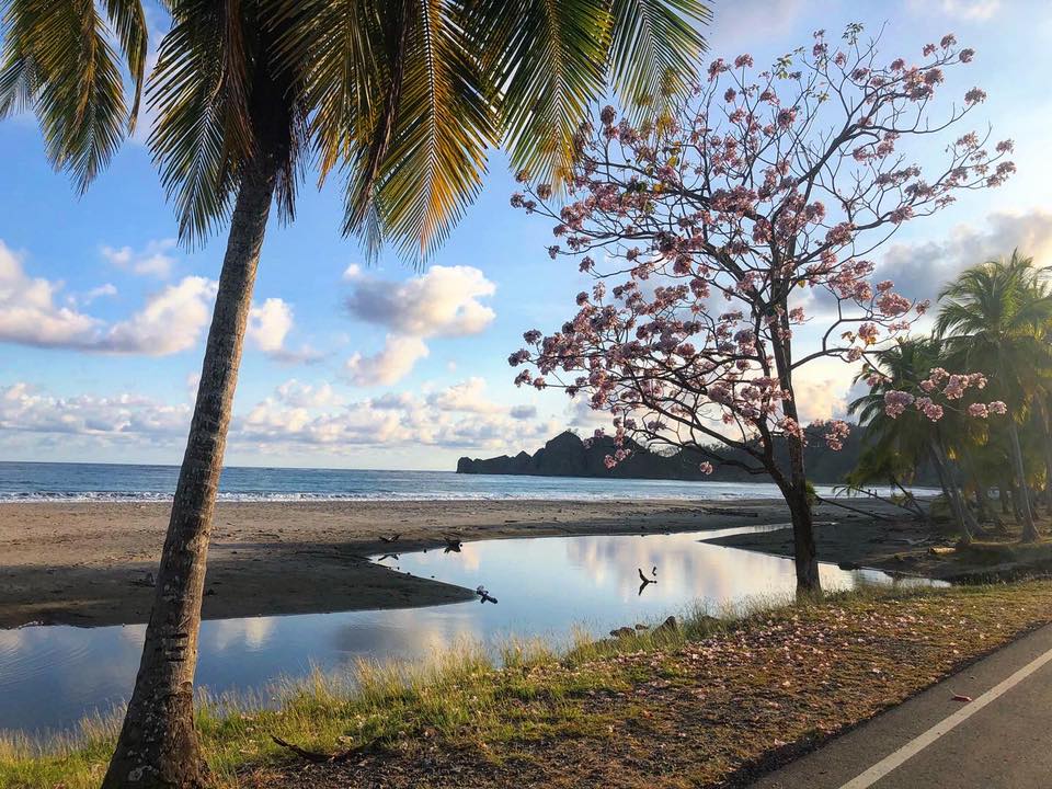 0 bed Land For Sale in Playa Carrillo, Guanacaste - thumb 27