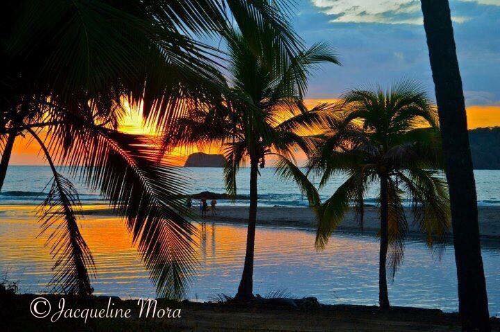 0 bed Land For Sale in Playa Carrillo, Guanacaste - thumb 25