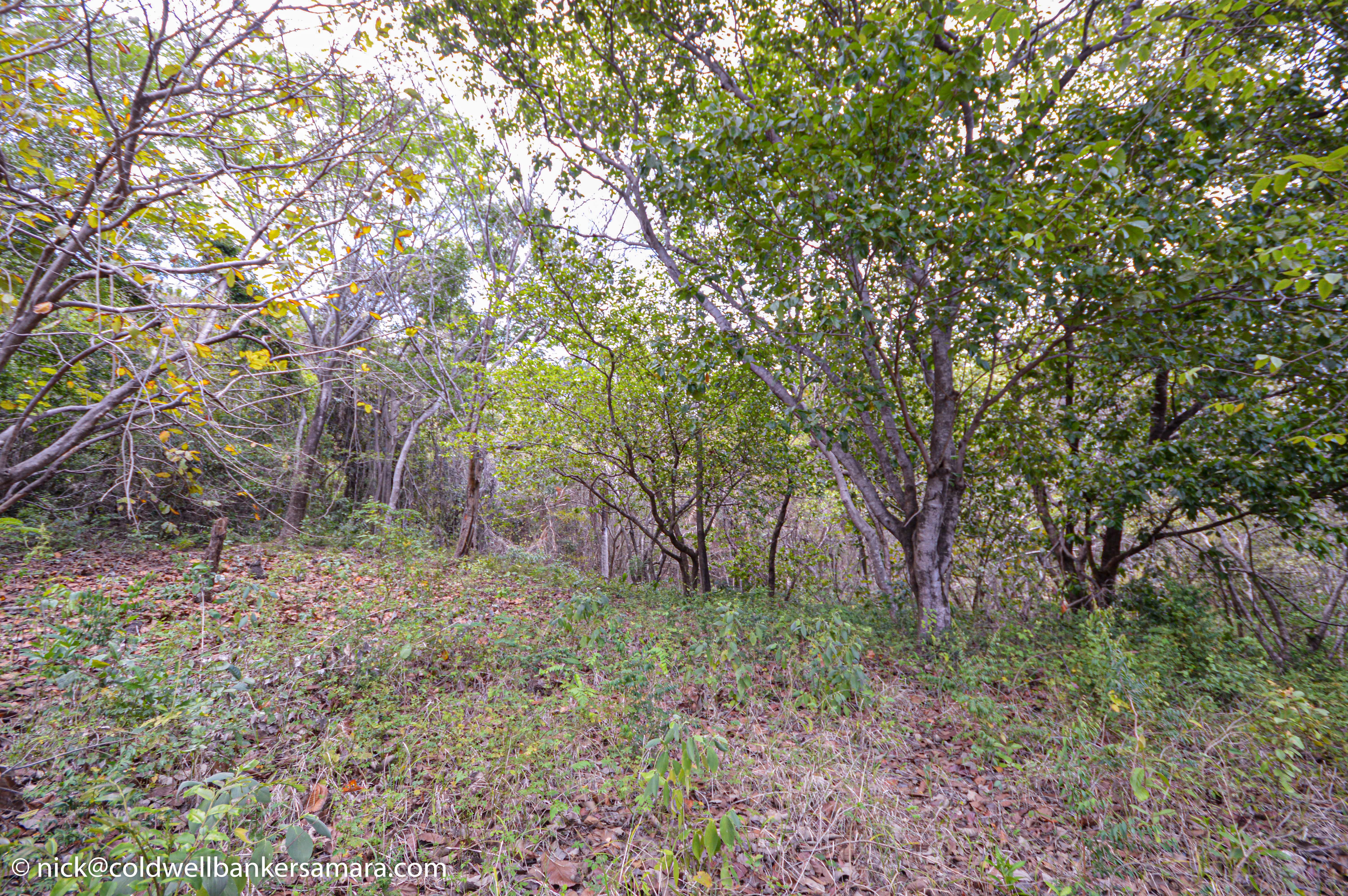 0 bed Land For Sale in Playa Carrillo, Guanacaste - thumb 14