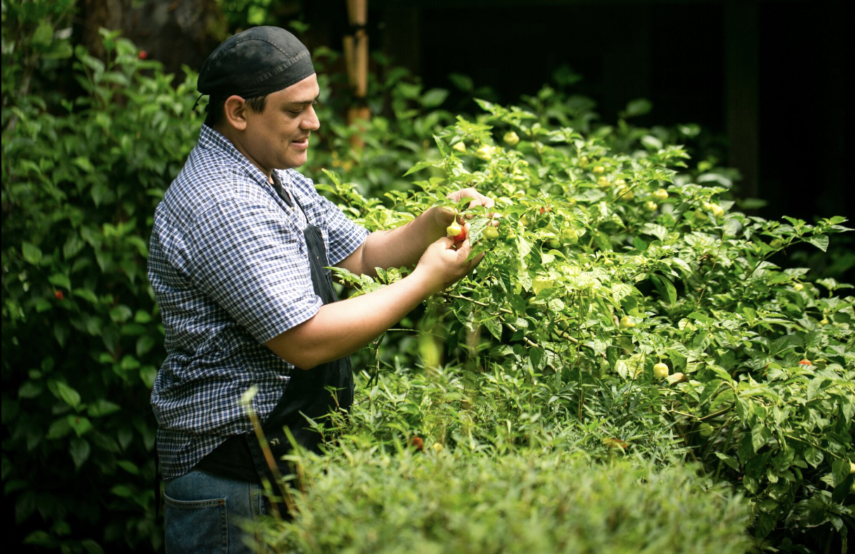 18 bed Hotel / Leisure For Sale in Cabo Matapalo, Puntarenas - thumb 5