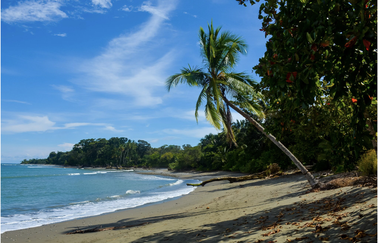 18 bed Hotel / Leisure For Sale in Cabo Matapalo, Puntarenas - thumb 17