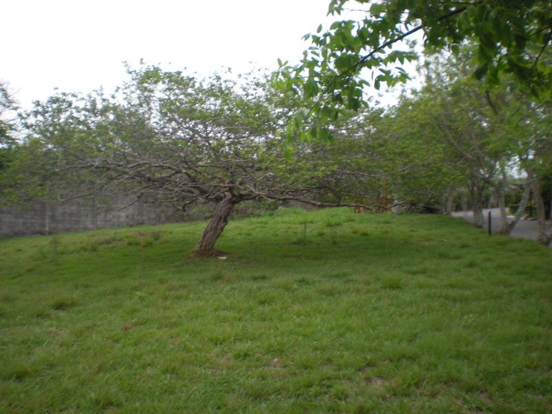 0 bed Land For Sale in Santa Ana, San Jose - 1