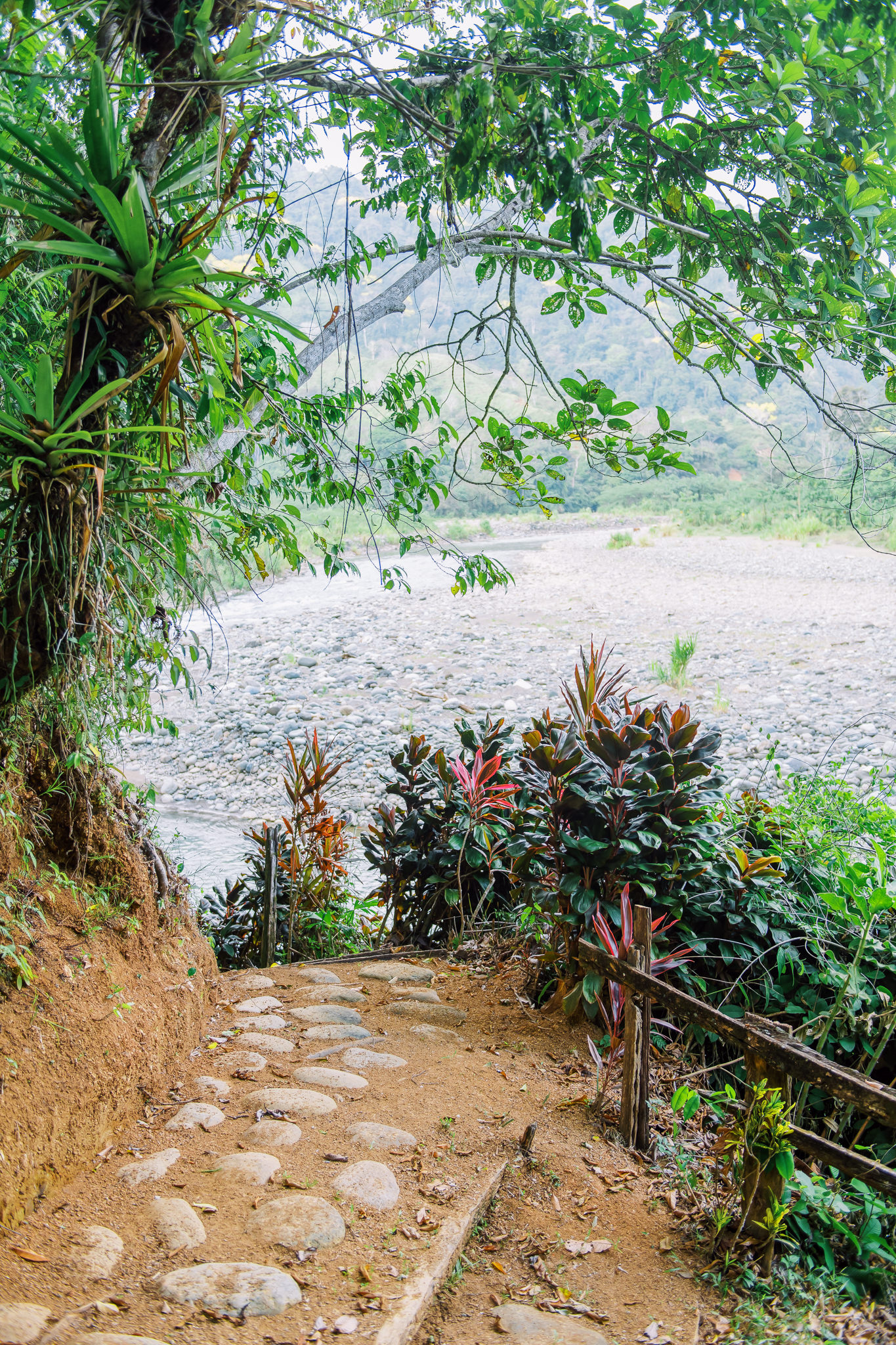 1 bed Land For Sale in Quepos, Puntarenas - thumb 17