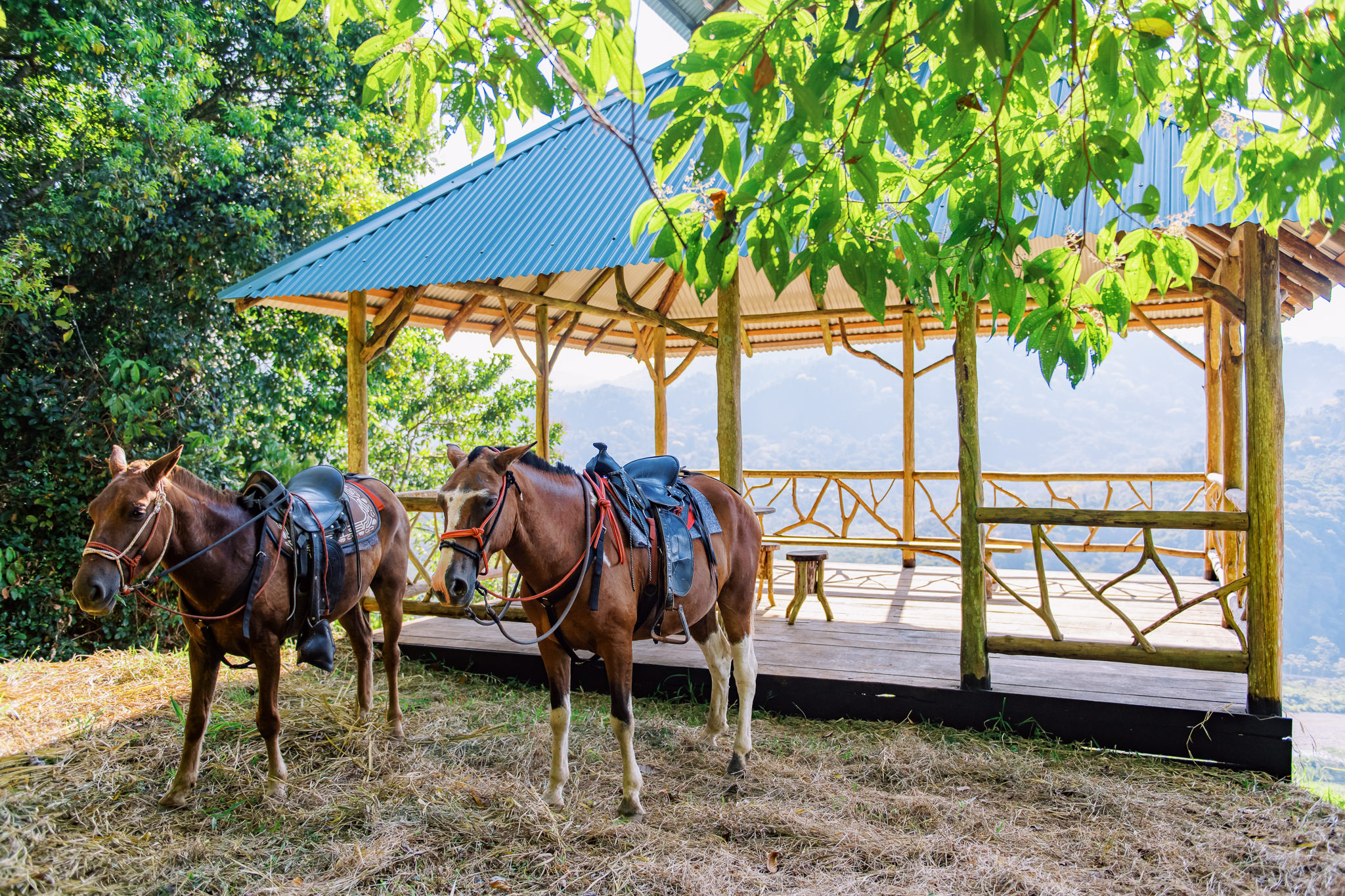 1 bed Land For Sale in Quepos, Puntarenas - thumb 10