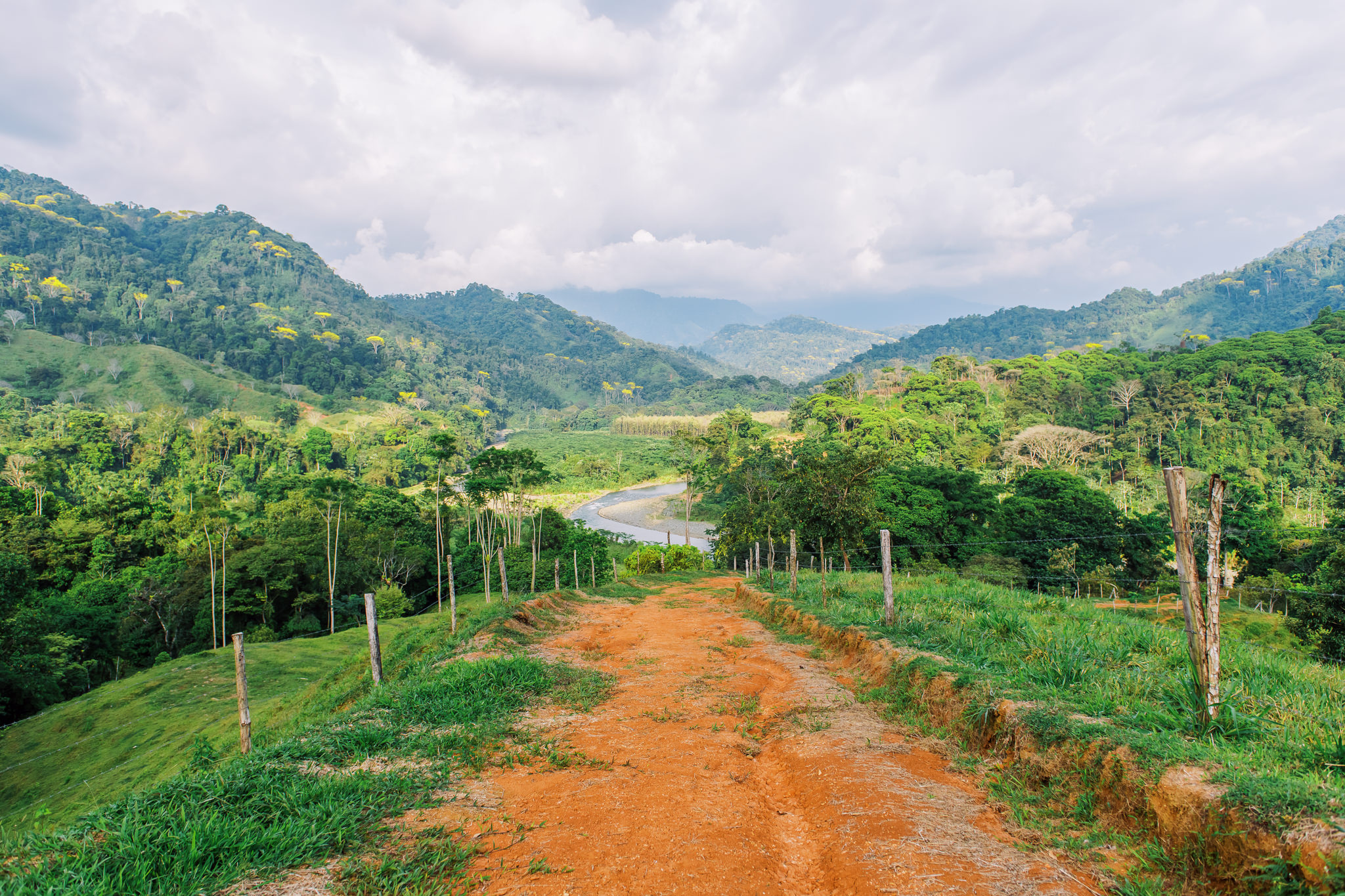 1 bed Land For Sale in Quepos, Puntarenas - thumb 14