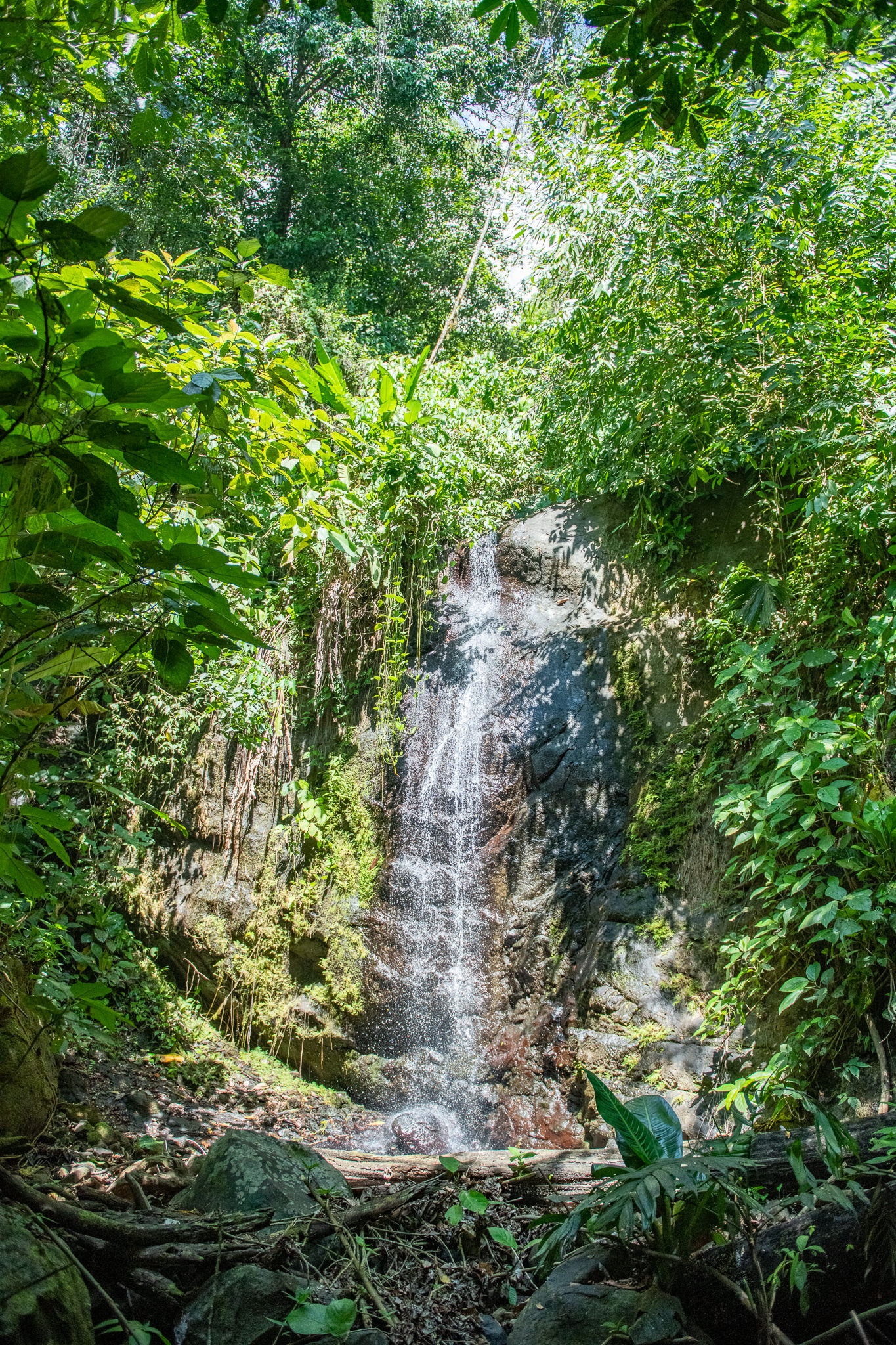 1 bed Land For Sale in Quepos, Puntarenas - thumb 20