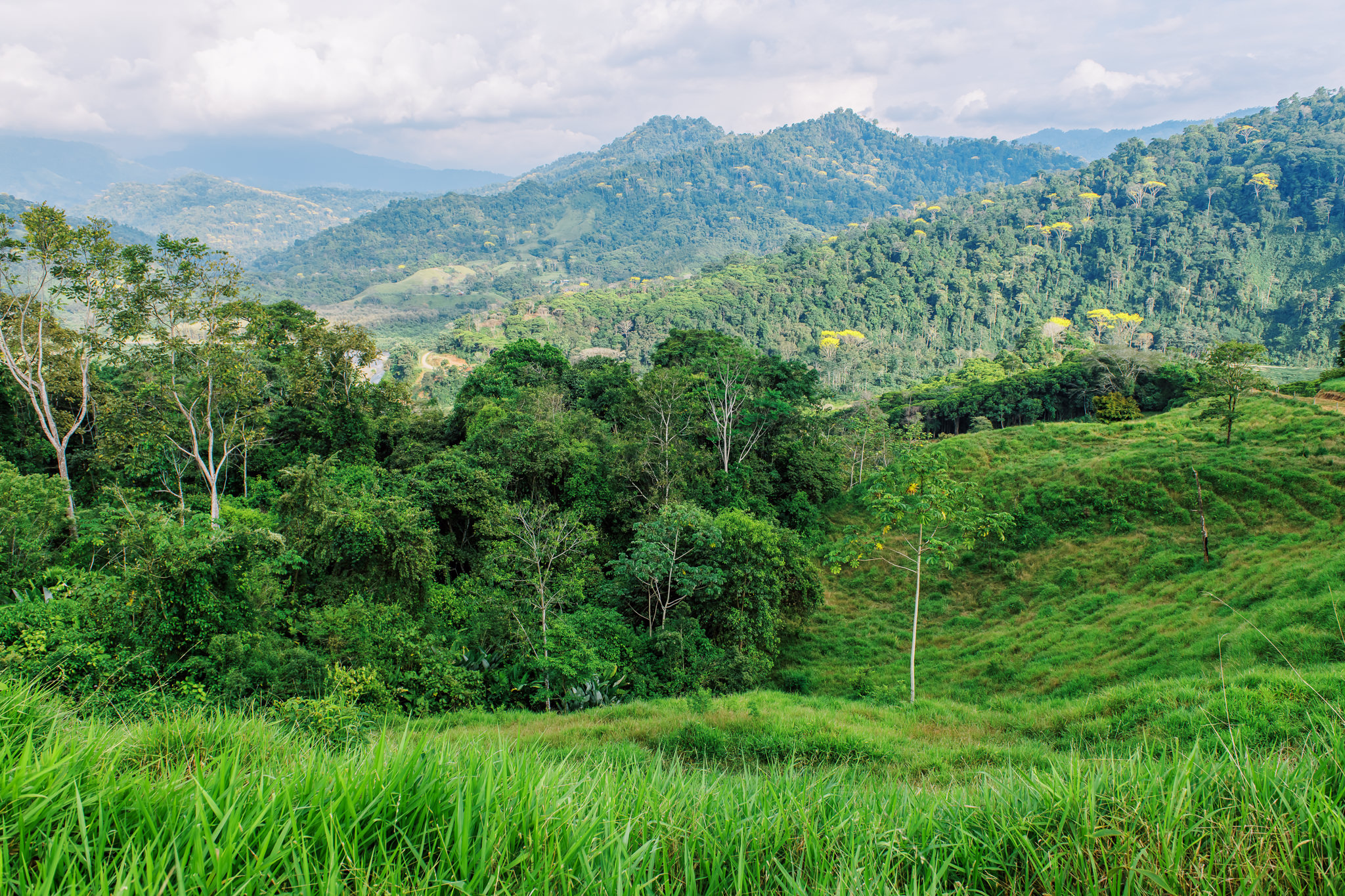 1 bed Land For Sale in Quepos, Puntarenas - thumb 15