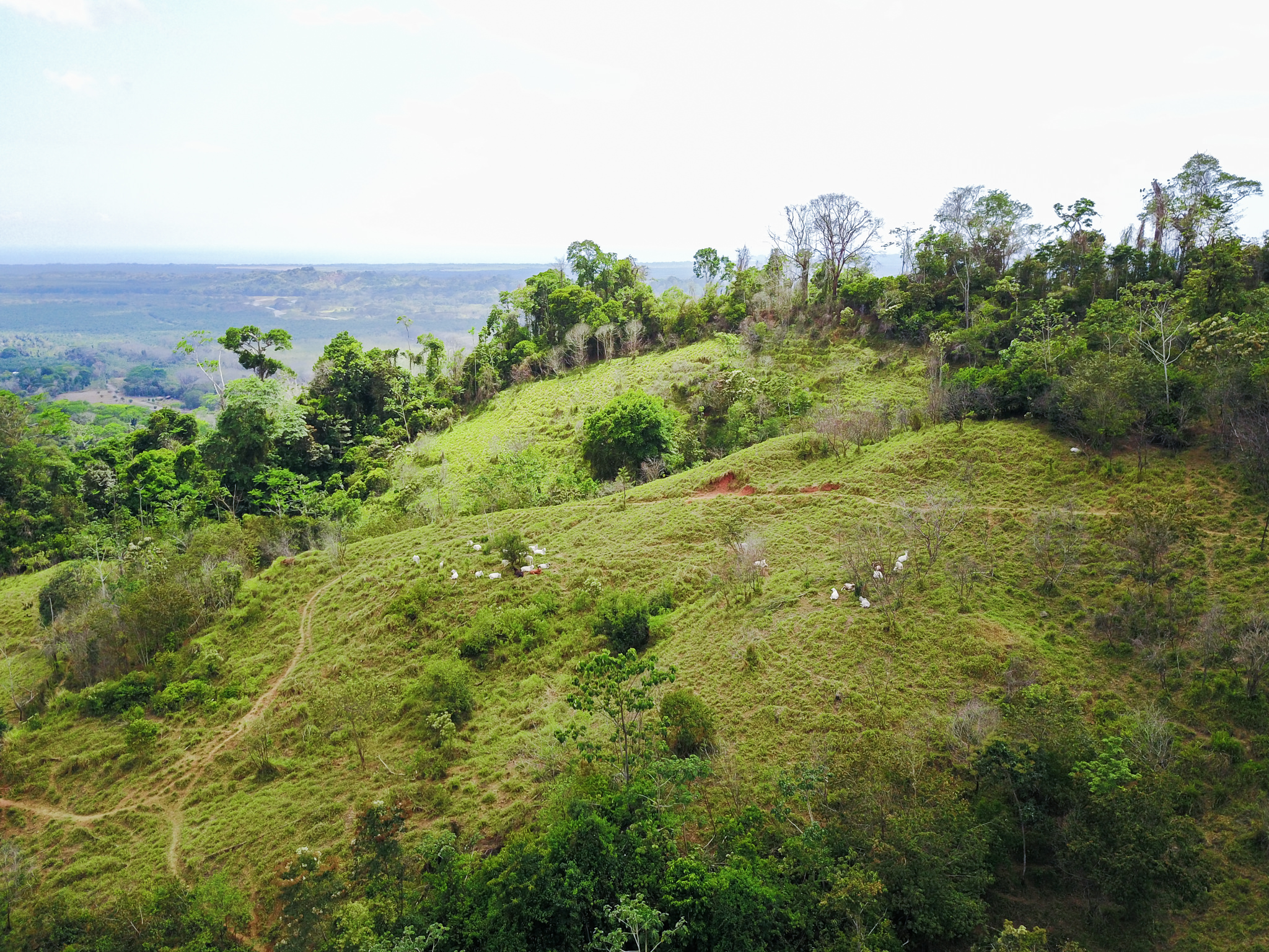 1 bed Land For Sale in Quepos, Puntarenas - thumb 13