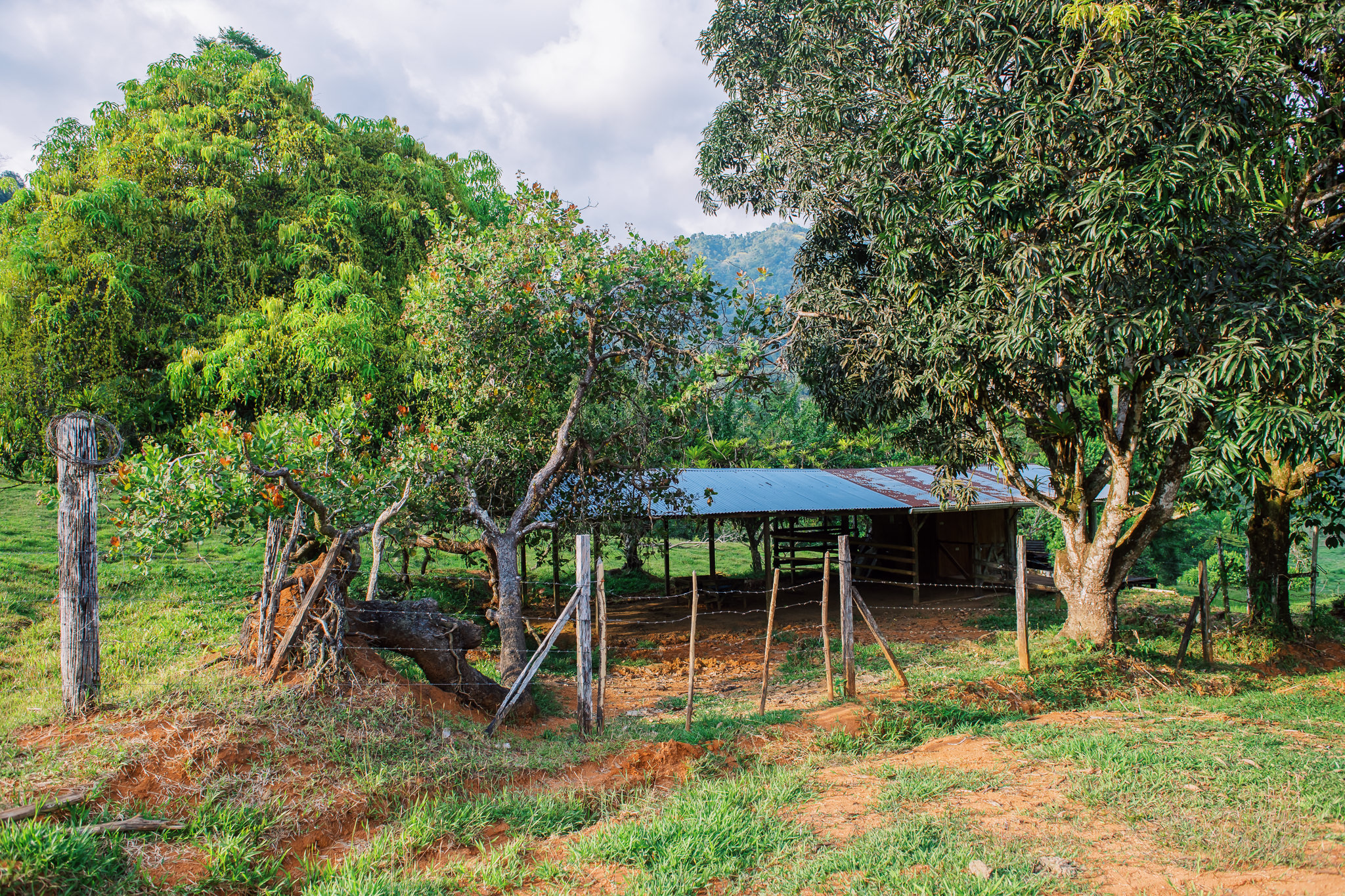 1 bed Land For Sale in Quepos, Puntarenas - thumb 19