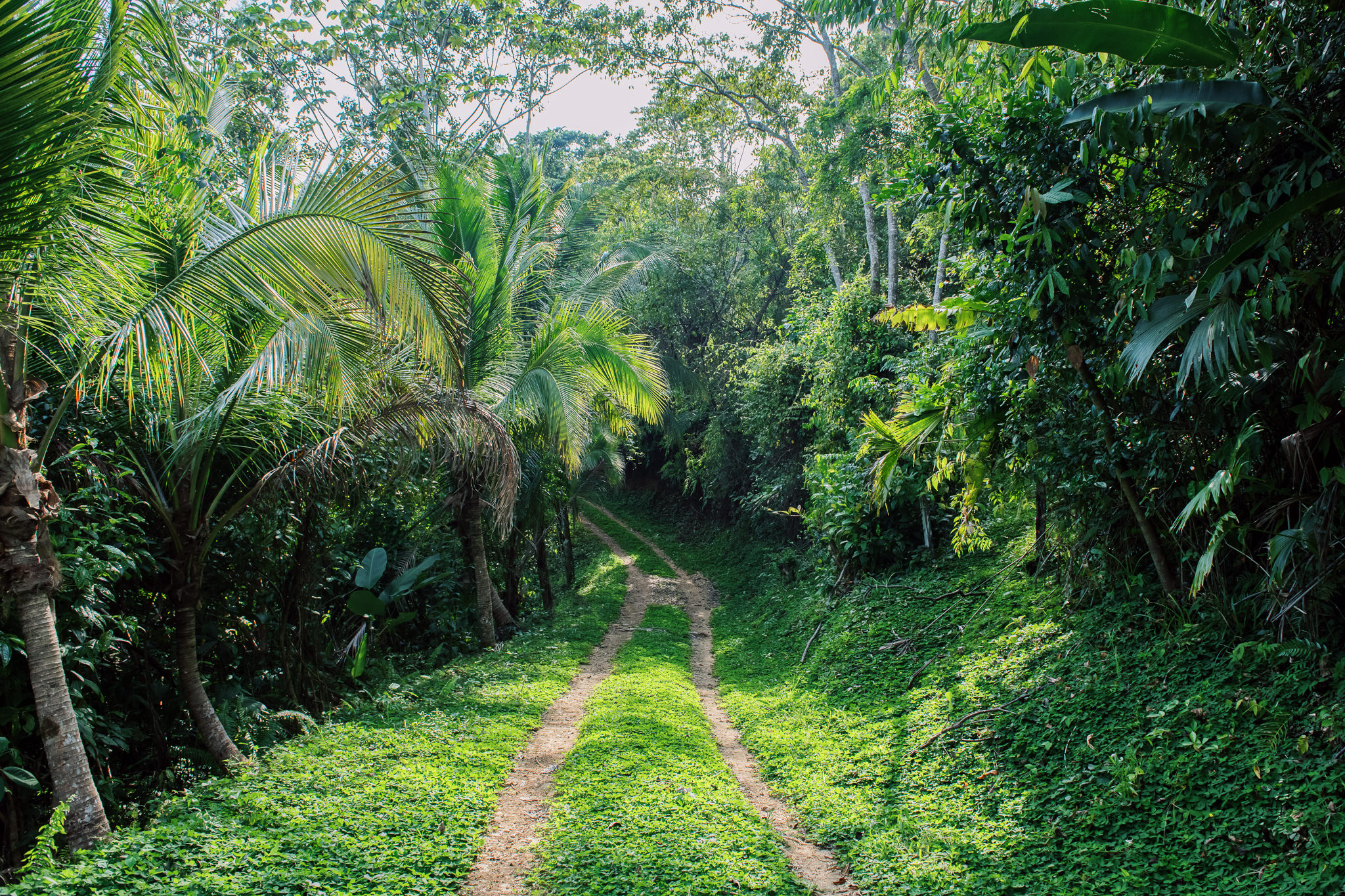 1 bed Land For Sale in Quepos, Puntarenas - thumb 6