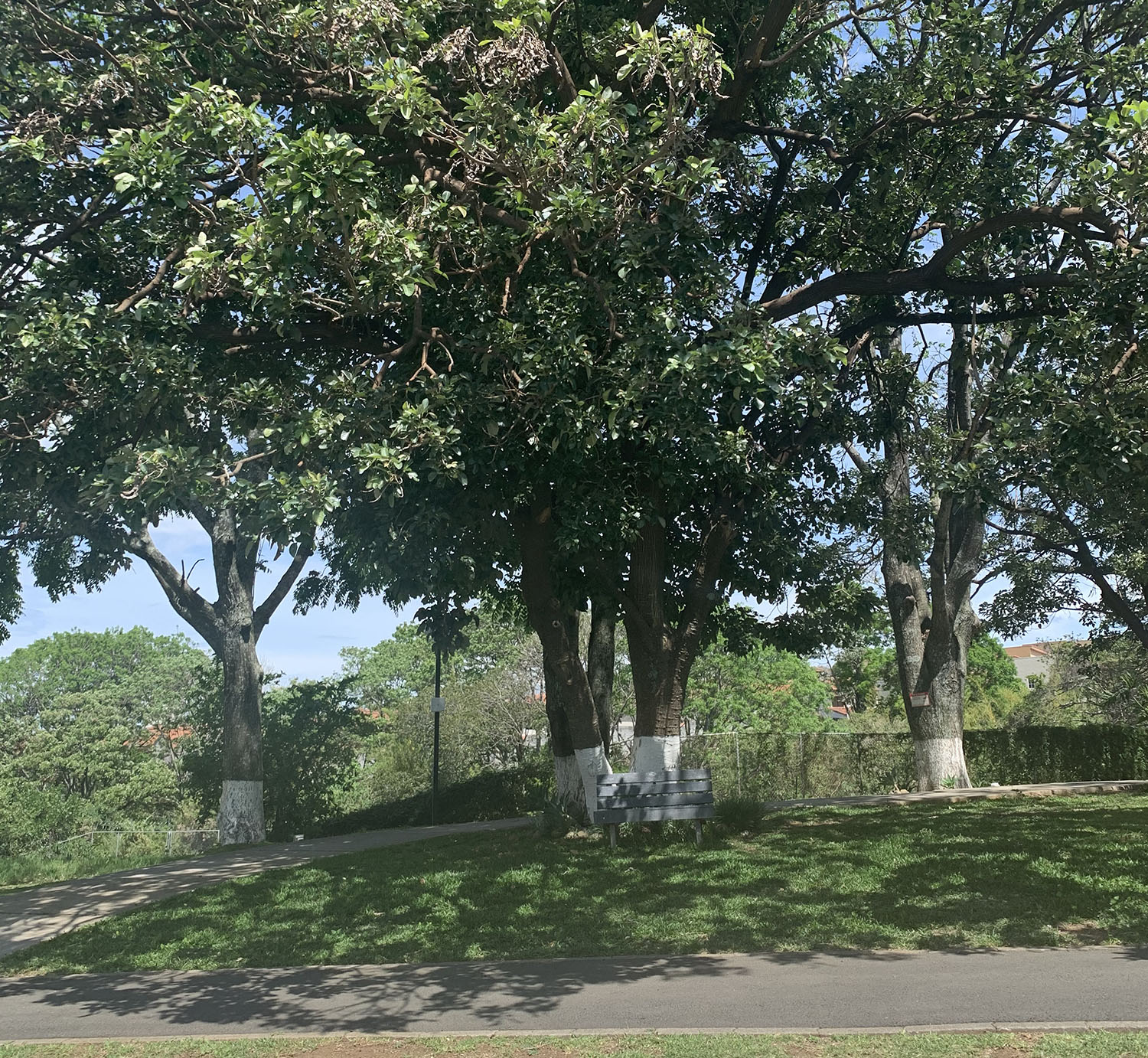 0 bed Land For Sale in Heredia, Heredia - thumb 5