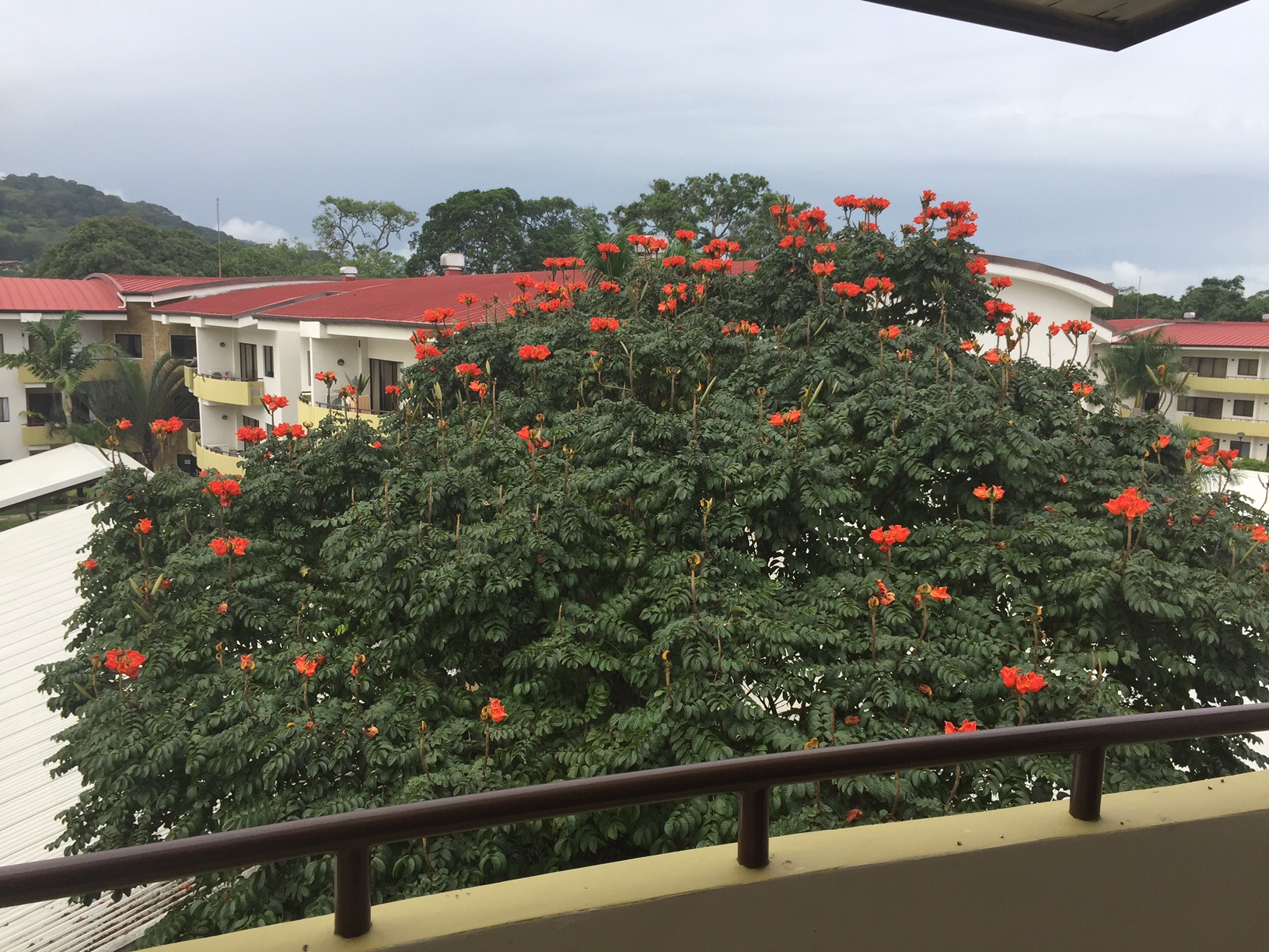 1 bed Apartment For Sale in Santa Ana, San Jose - thumb 4