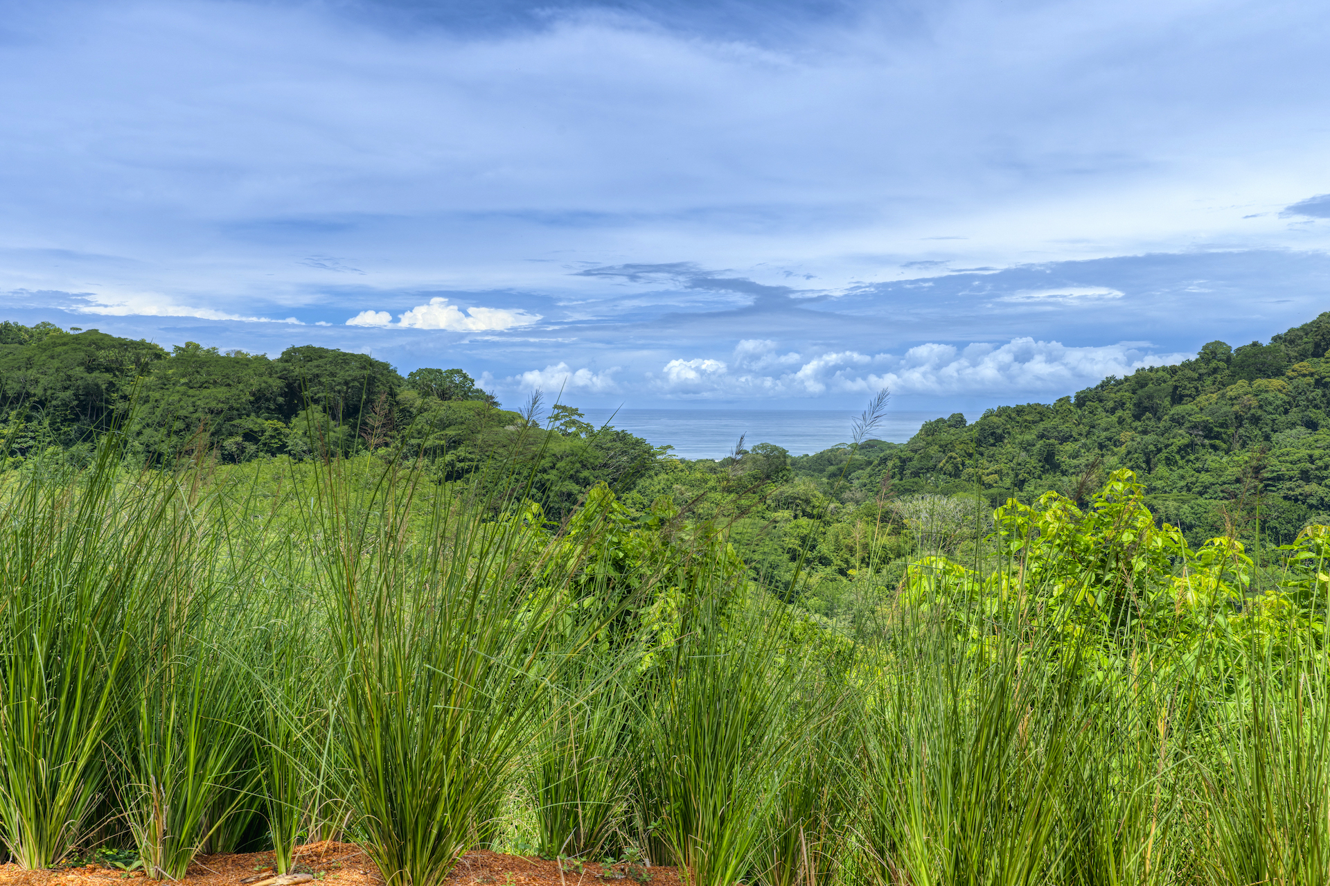 0 bed Land For Sale in Dominical, Puntarenas - thumb 9