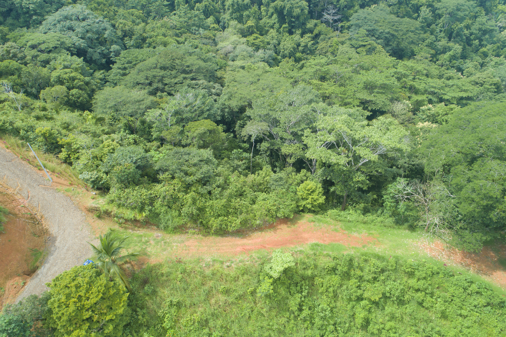 0 bed Land For Sale in Dominical, Puntarenas - thumb 5