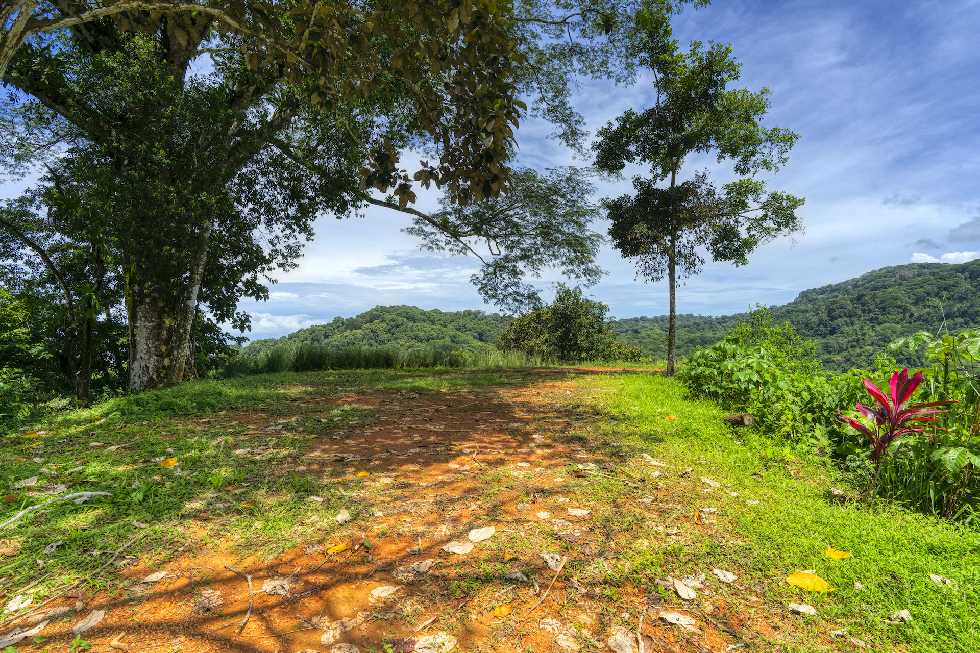 0 bed Land For Sale in Dominical, Puntarenas - thumb 2