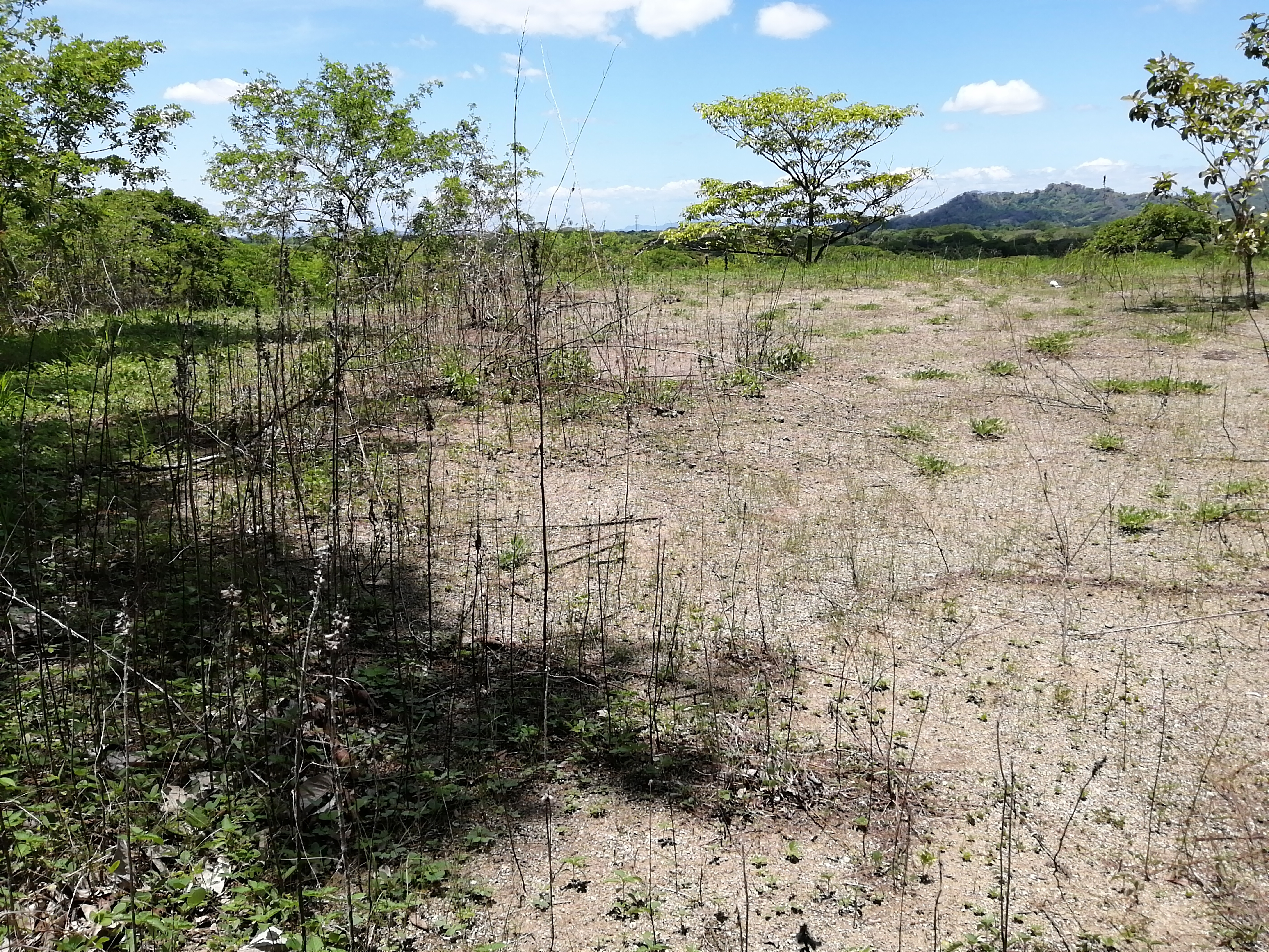 0 bed Land For Sale in Sardinal, Guanacaste - thumb 21