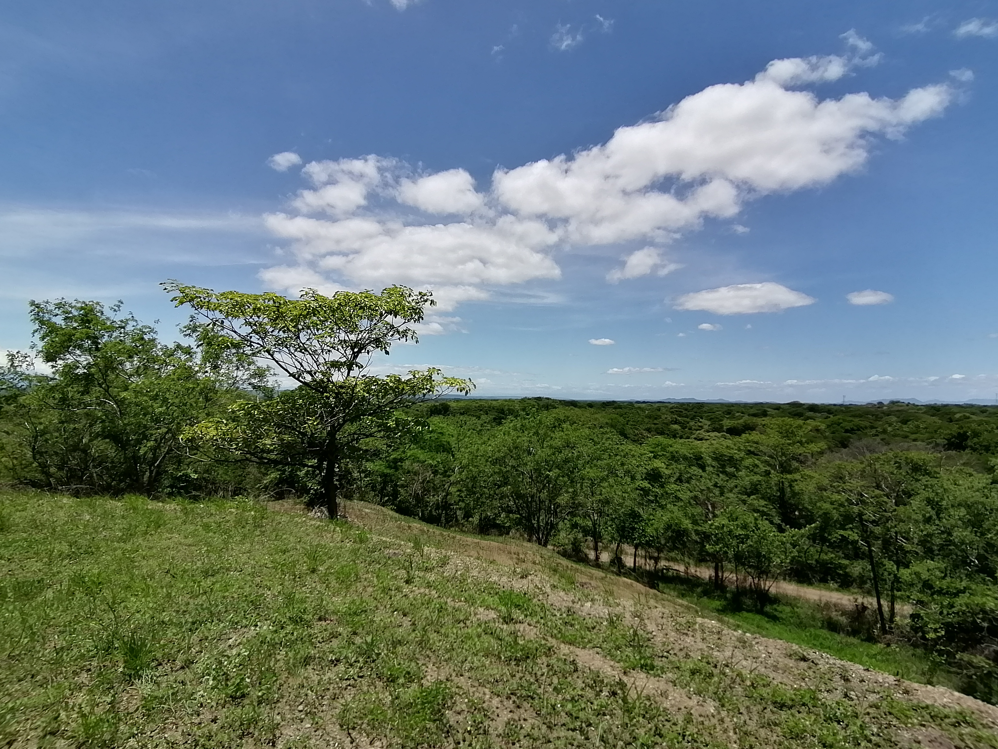 0 bed Land For Sale in Sardinal, Guanacaste - thumb 18