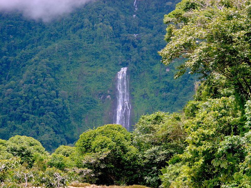 0 bed Land For Sale in Tinamastes, San Jose - 1