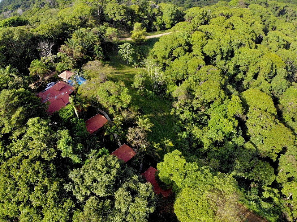 7 bed Hotel / Leisure For Sale in Dominical, Puntarenas - thumb 22