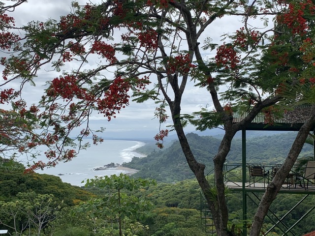 7 bed Hotel / Leisure For Sale in Dominical, Puntarenas - thumb 17