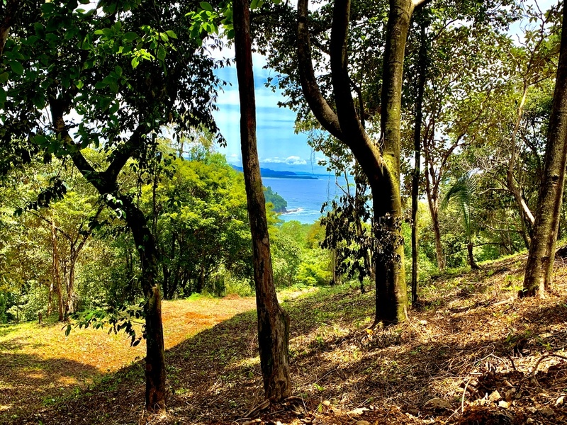 0 bed Land For Sale in Dominical, Puntarenas - thumb 3