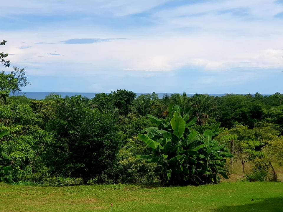 3 bed Single Family Homes For Sale in Samara, Guanacaste - thumb 17