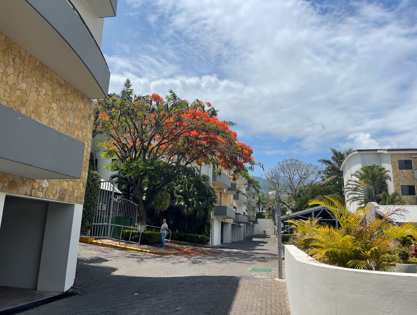 2 bed Apartment For Sale in Santa Ana, San Jose - thumb 14