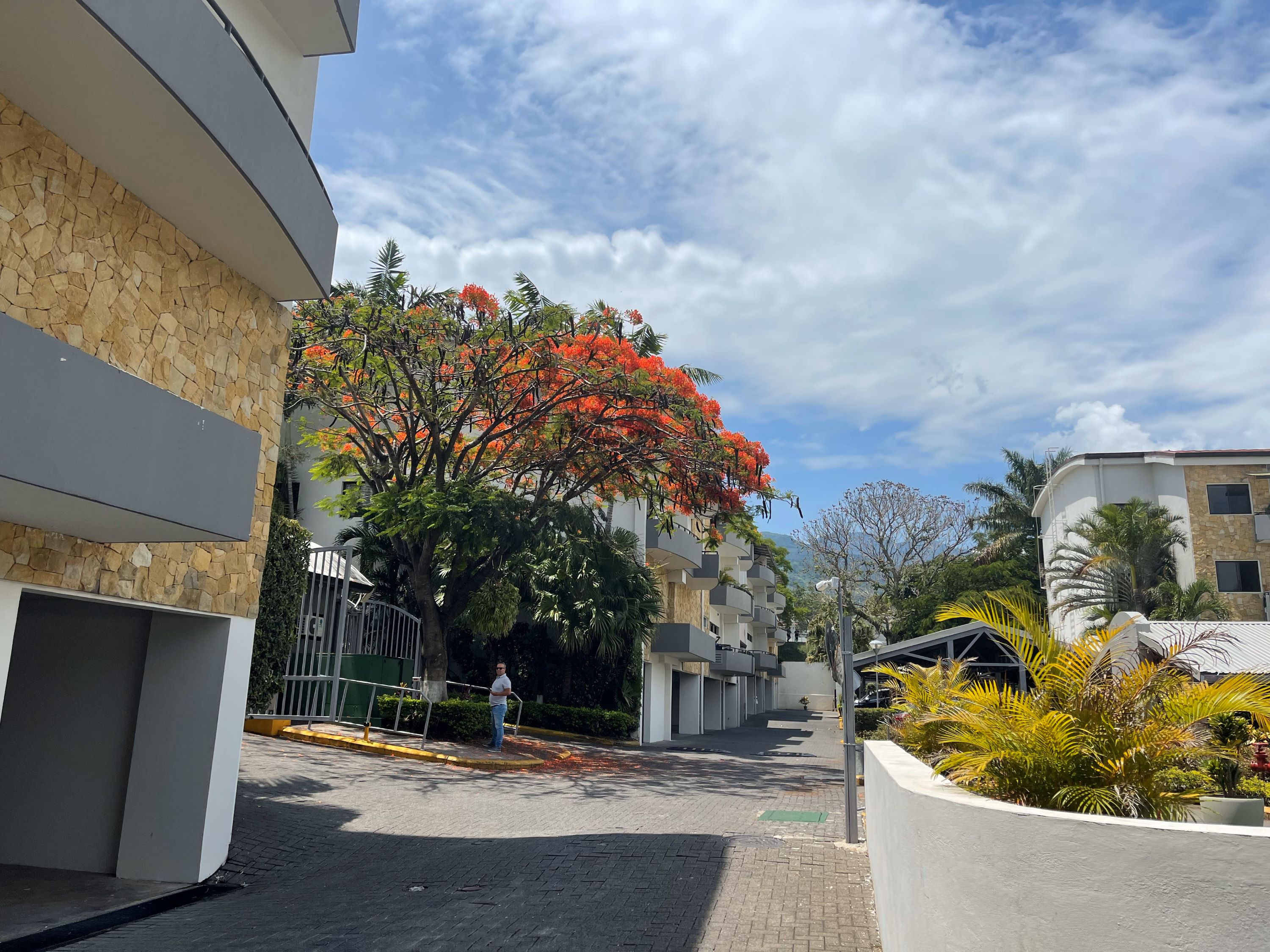 1 bed Apartment For Sale in Santa Ana, San Jose - thumb 7