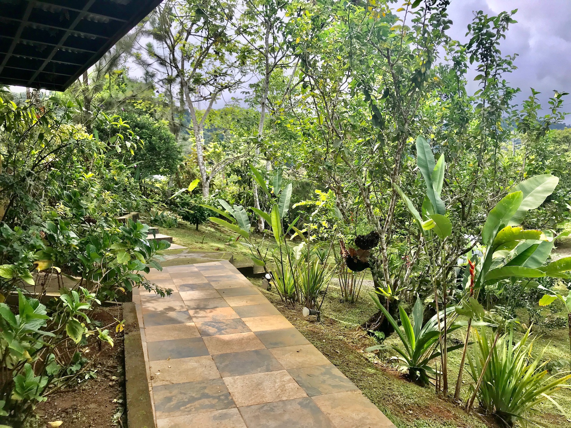 3 bed Single Family Homes For Sale in Dominical, Puntarenas - thumb 22