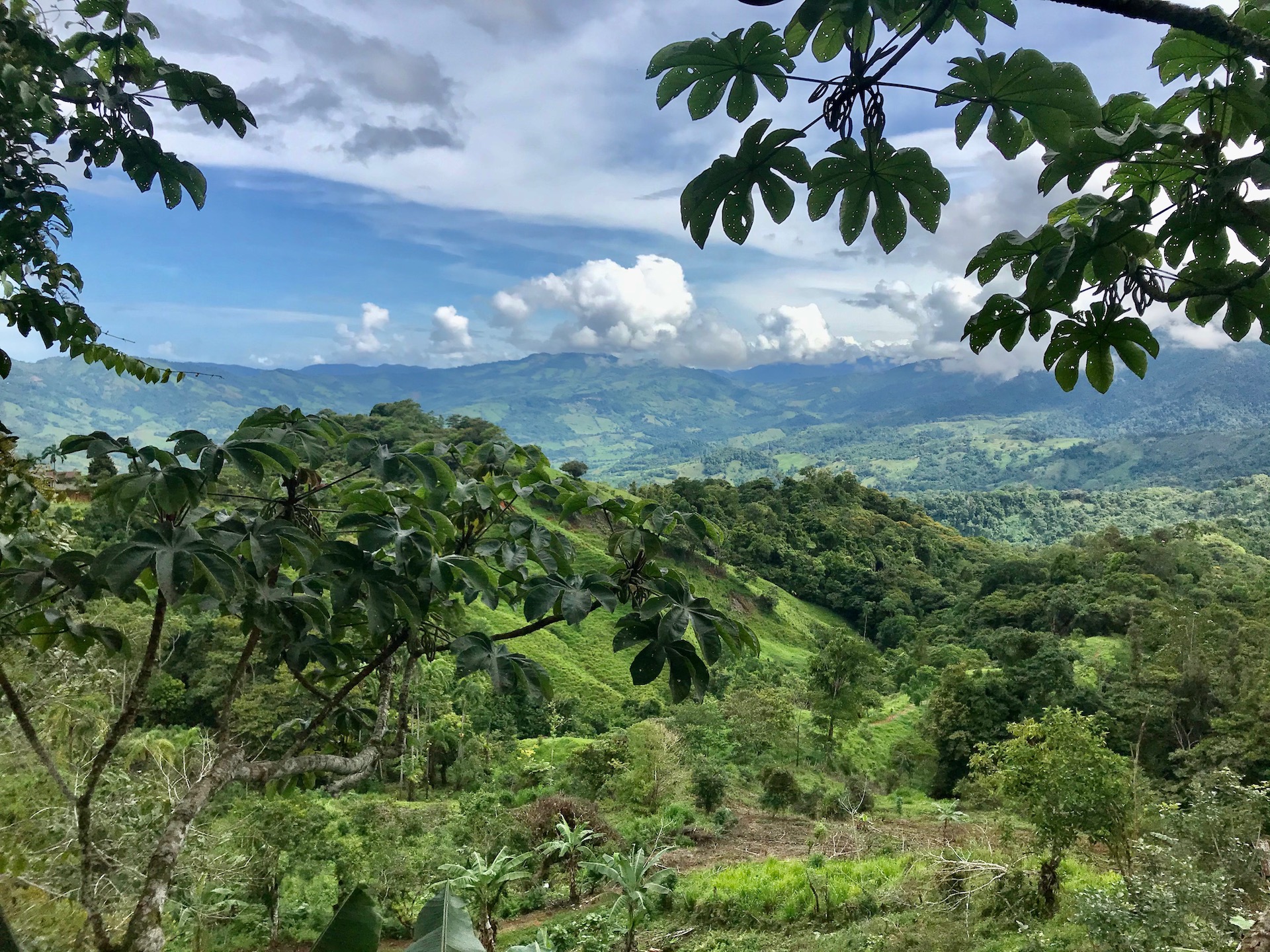 3 bed Single Family Homes For Sale in Dominical, Puntarenas - thumb 9