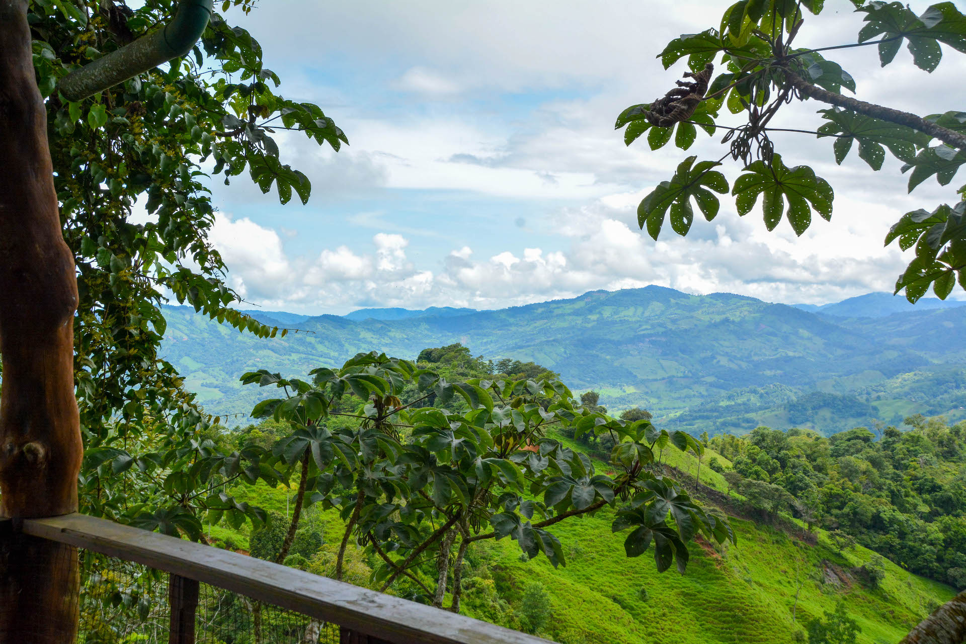 3 bed Single Family Homes For Sale in Dominical, Puntarenas - thumb 23