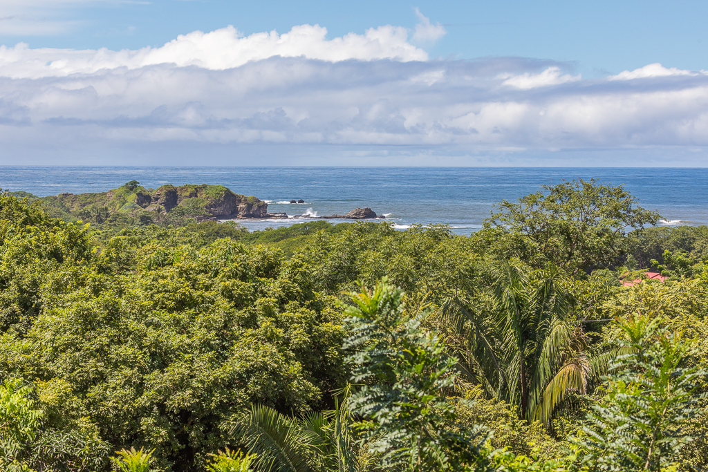 8 bed Single Family Homes For Sale in Nosara, Guanacaste - thumb 8