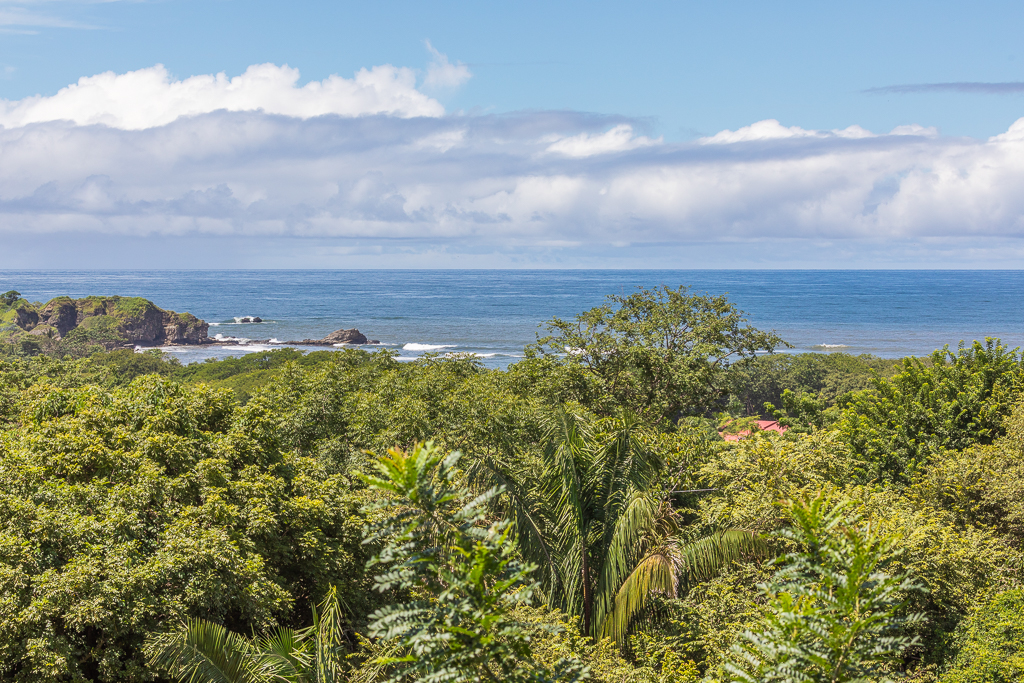 8 bed Single Family Homes For Sale in Nosara, Guanacaste - thumb 9