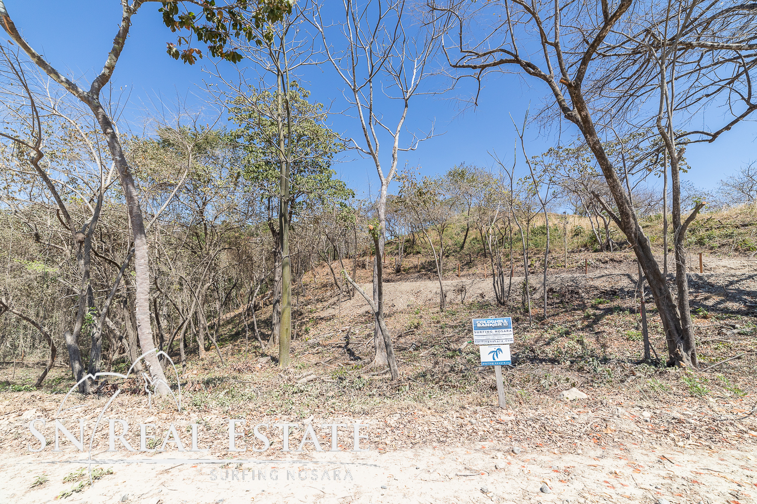 0 bed Land For Sale in Nosara, Guanacaste - thumb 19