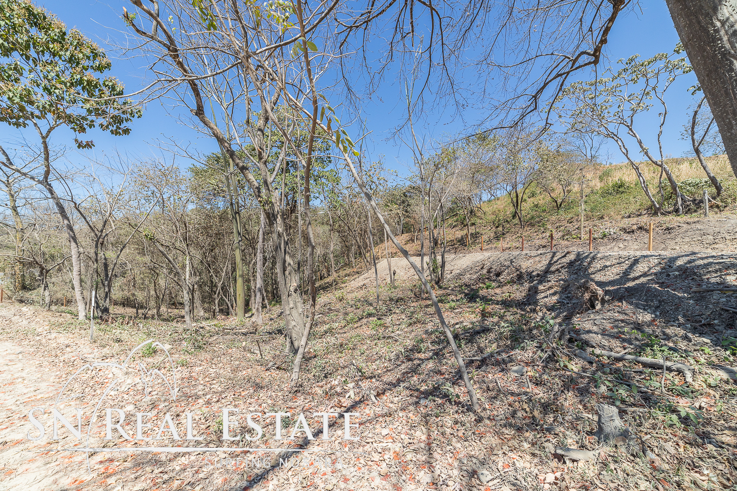 0 bed Land For Sale in Nosara, Guanacaste - thumb 20