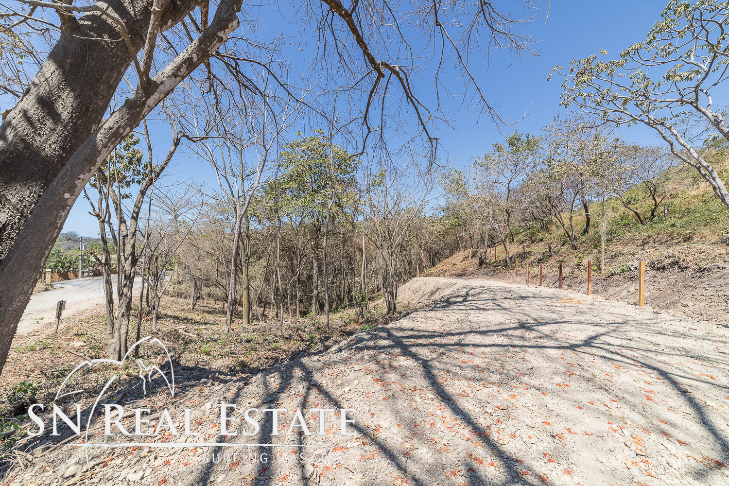 0 bed Land For Sale in Nosara, Guanacaste - thumb 22